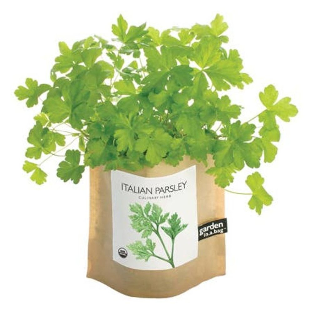 Garden in a Bag - Italian Parsley